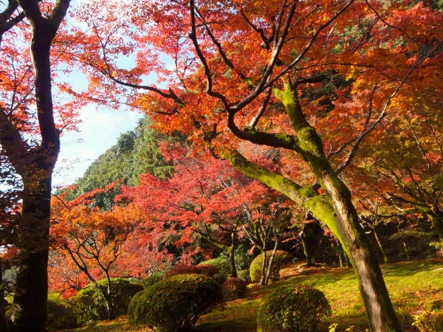 紅葉狩り♪