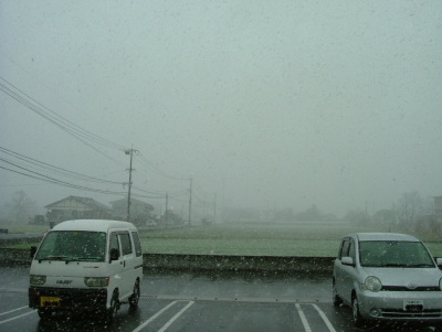 ３月なのに雪ですか・・・・