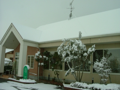 朝から大雪です