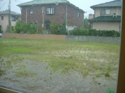 今日も雨・・・・・・